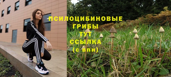 прущая мука Сатка