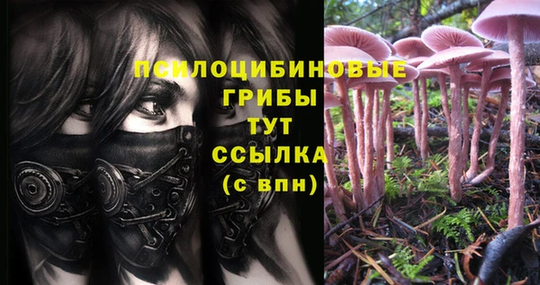 герыч Горнозаводск