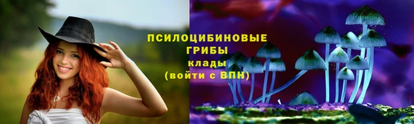 прущий лед Горно-Алтайск