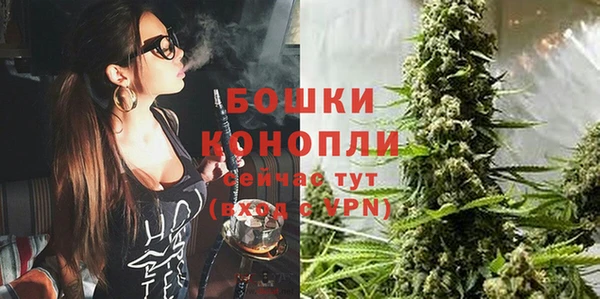 прущий лед Горно-Алтайск